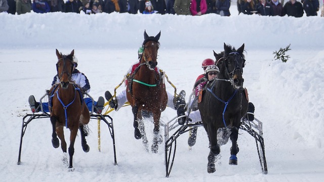 在英超冬季 在英超冬季