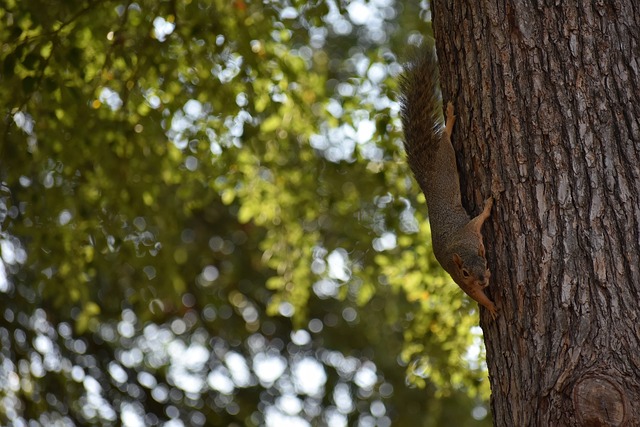 海况和对手 海况和对手