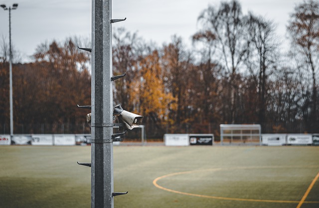 虽然保持不 虽然保持不