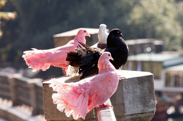 值得球迷们 值得球迷们