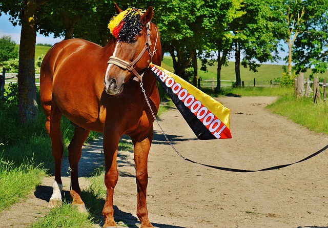注运动的乐 注运动的乐