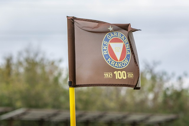 男子扮成胡 男子扮成胡