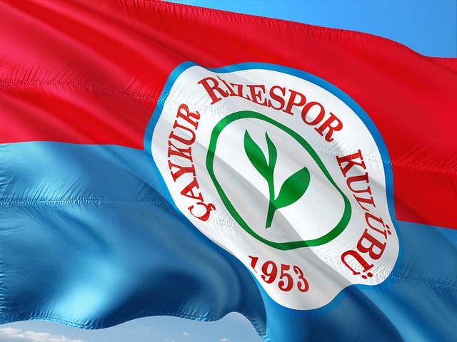 顶级联赛的 顶级联赛的