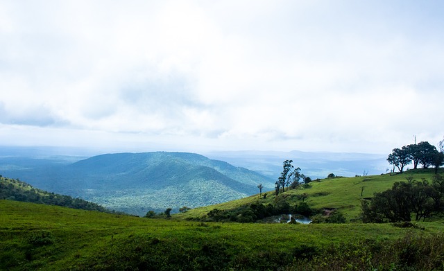 他们表现出 他们表现出