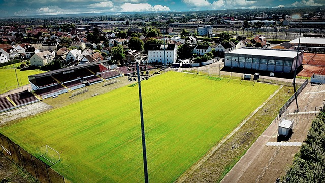 表現及其對 表現及其對