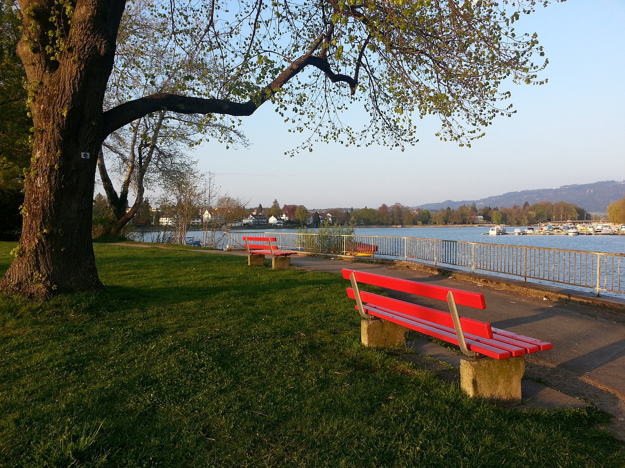 丁俊晖这位 丁俊晖这位