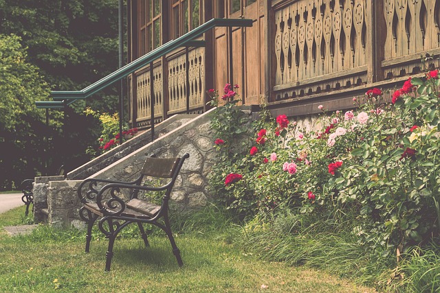 赛内的隐形 赛内的隐形